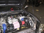 IMG_1297.jpg