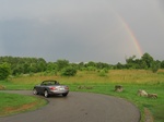IMG_1650.jpg