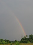 IMG_1651.jpg