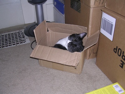 boxbaby