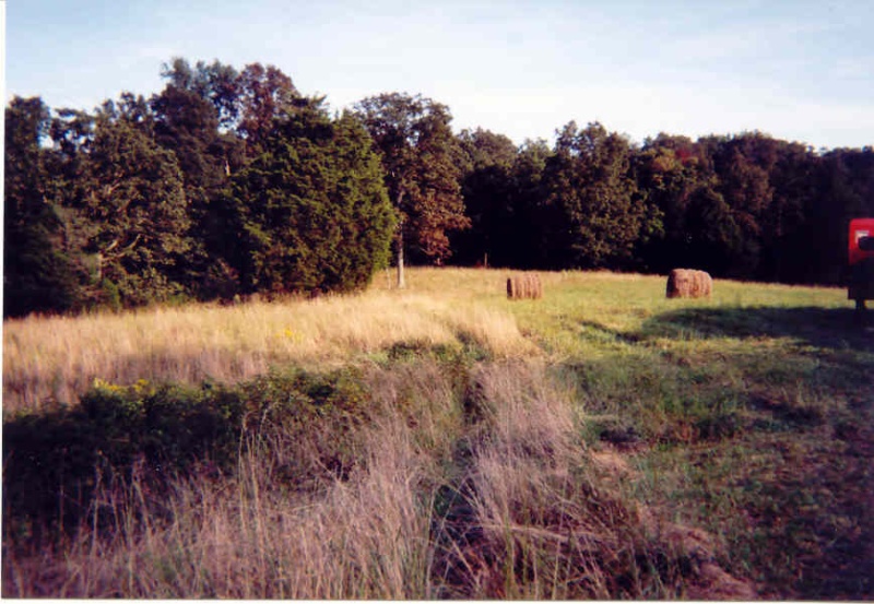 field