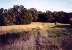 field