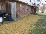 IMG_2214.JPG