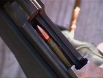gun