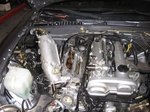 IMG_1262.jpg